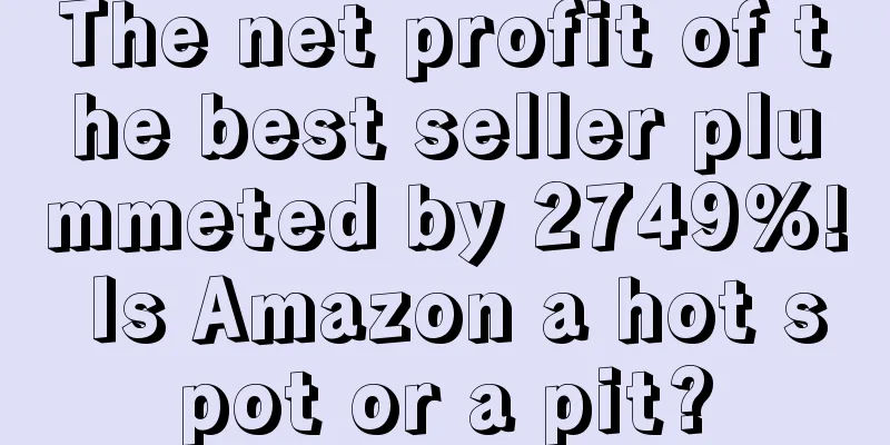 The net profit of the best seller plummeted by 2749%! Is Amazon a hot spot or a pit?