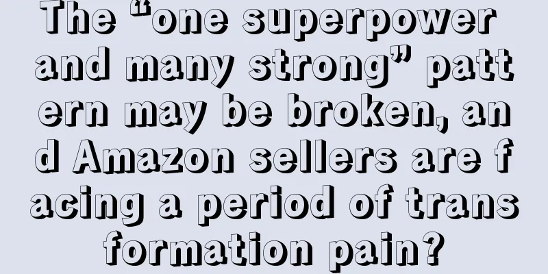 The “one superpower and many strong” pattern may be broken, and Amazon sellers are facing a period of transformation pain?