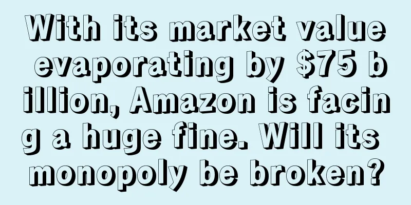 With its market value evaporating by $75 billion, Amazon is facing a huge fine. Will its monopoly be broken?