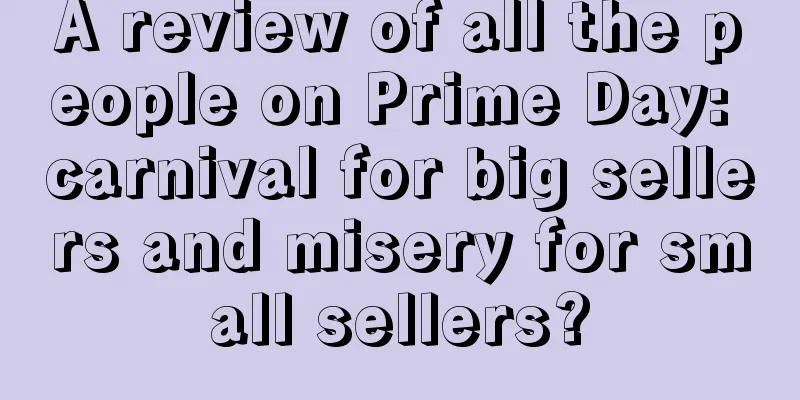 A review of all the people on Prime Day: carnival for big sellers and misery for small sellers?
