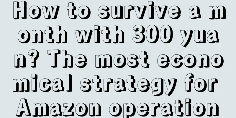 How to survive a month with 300 yuan? The most economical strategy for Amazon operation