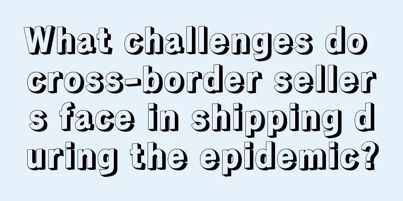 What challenges do cross-border sellers face in shipping during the epidemic?