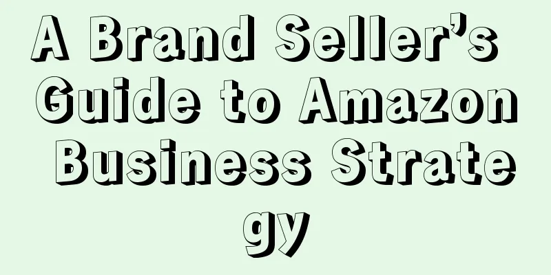 A Brand Seller’s Guide to Amazon Business Strategy