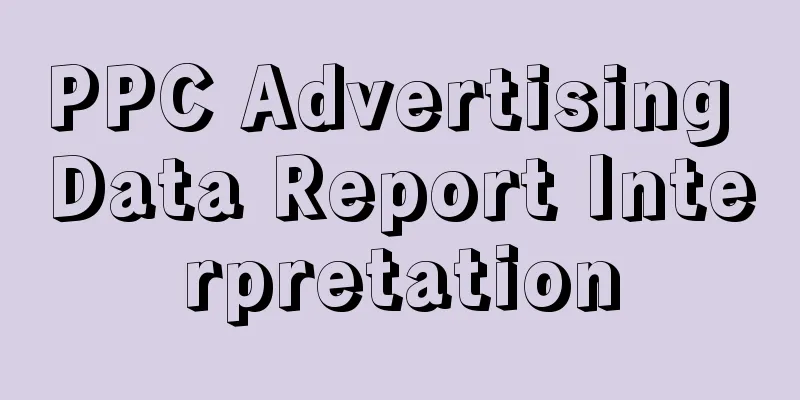 PPC Advertising Data Report Interpretation