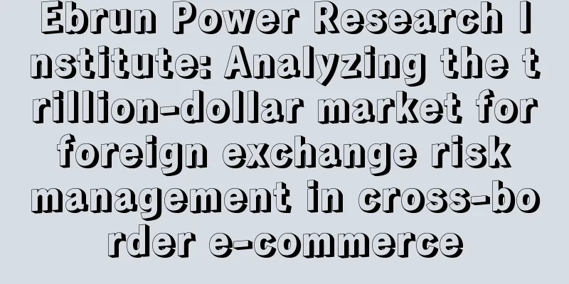 Ebrun Power Research Institute: Analyzing the trillion-dollar market for foreign exchange risk management in cross-border e-commerce