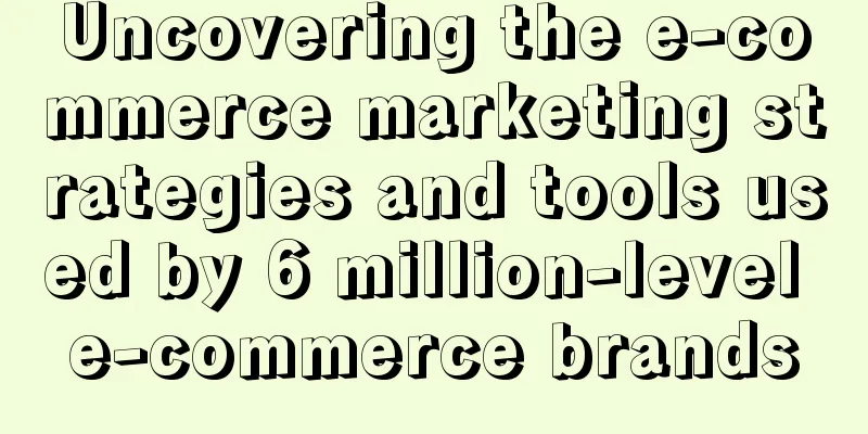 Uncovering the e-commerce marketing strategies and tools used by 6 million-level e-commerce brands