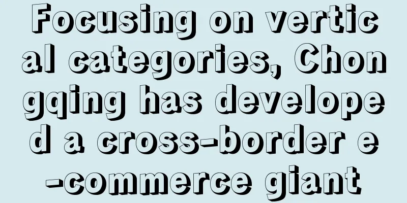 Focusing on vertical categories, Chongqing has developed a cross-border e-commerce giant