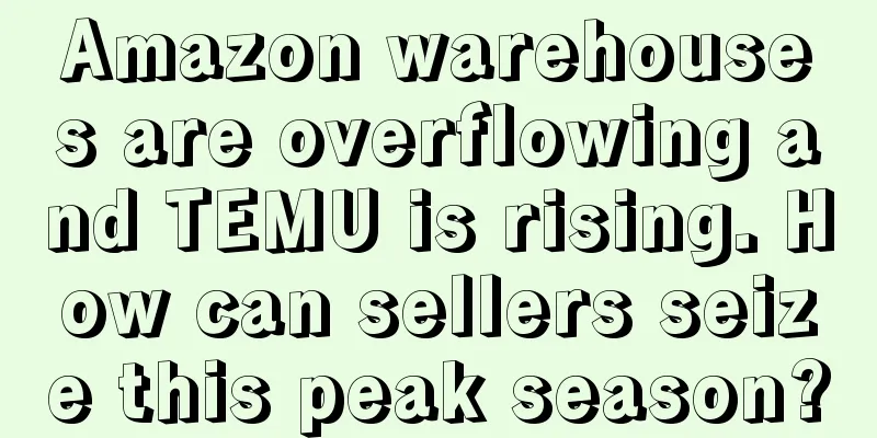 Amazon warehouses are overflowing and TEMU is rising. How can sellers seize this peak season?