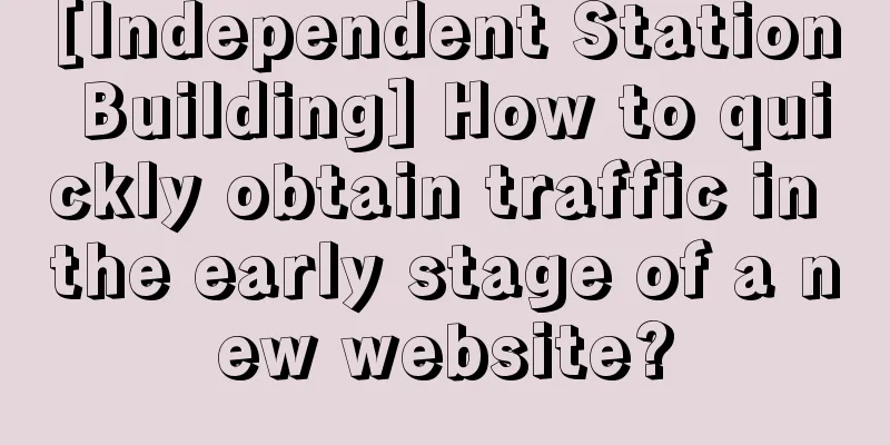 [Independent Station Building] How to quickly obtain traffic in the early stage of a new website?