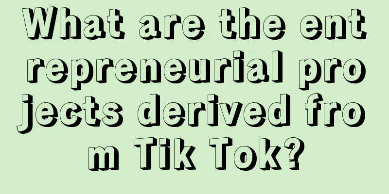 What are the entrepreneurial projects derived from Tik Tok?