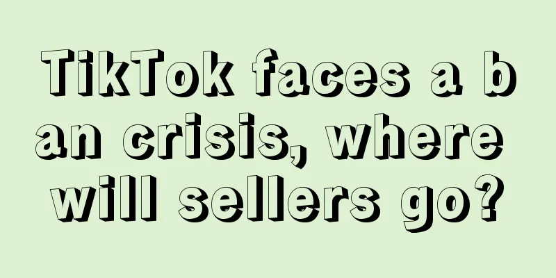 TikTok faces a ban crisis, where will sellers go?