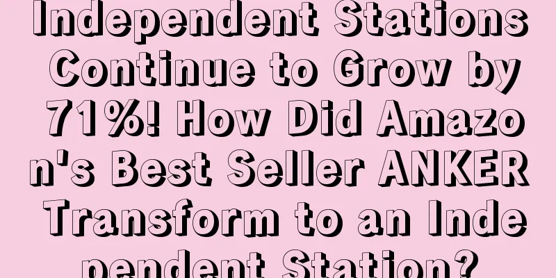 Independent Stations Continue to Grow by 71%! How Did Amazon's Best Seller ANKER Transform to an Independent Station?