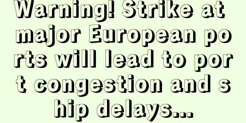 Warning! Strike at major European ports will lead to port congestion and ship delays...