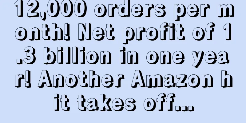12,000 orders per month! Net profit of 1.3 billion in one year! Another Amazon hit takes off...