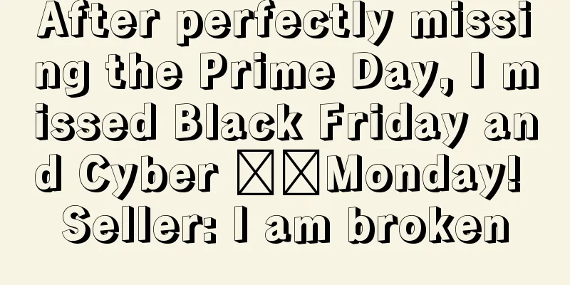 After perfectly missing the Prime Day, I missed Black Friday and Cyber ​​Monday! Seller: I am broken