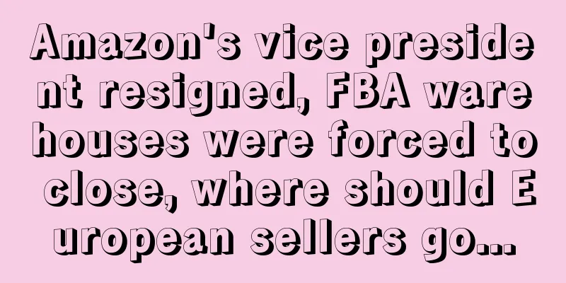 Amazon's vice president resigned, FBA warehouses were forced to close, where should European sellers go...