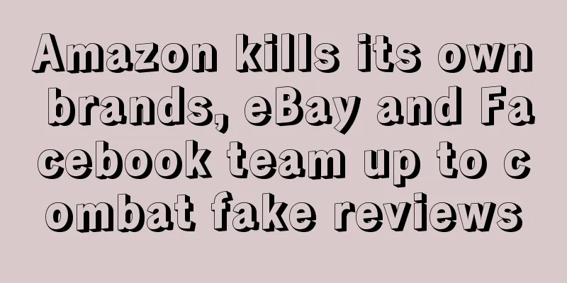 Amazon kills its own brands, eBay and Facebook team up to combat fake reviews