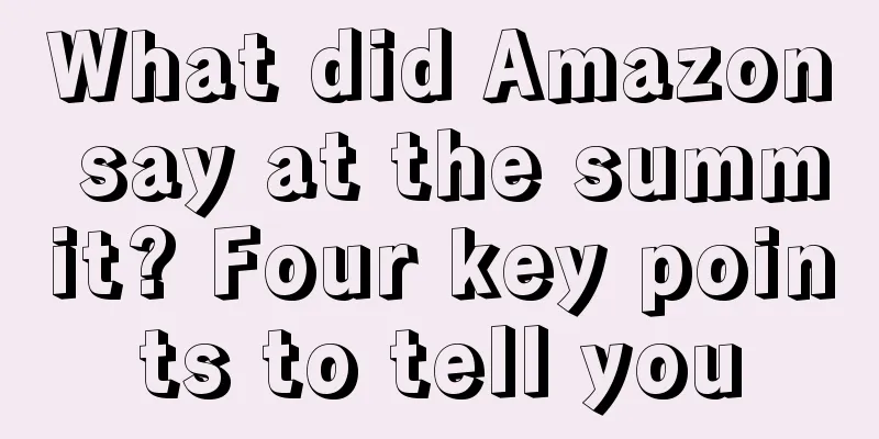 What did Amazon say at the summit? Four key points to tell you