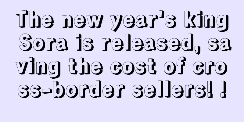 The new year's king Sora is released, saving the cost of cross-border sellers! !