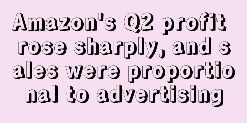 Amazon's Q2 profit rose sharply, and sales were proportional to advertising