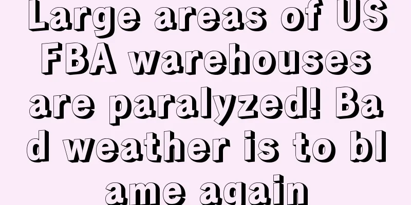 Large areas of US FBA warehouses are paralyzed! Bad weather is to blame again