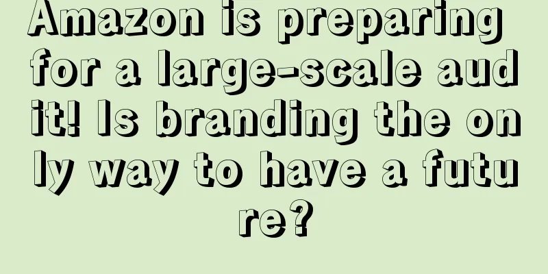 Amazon is preparing for a large-scale audit! Is branding the only way to have a future?
