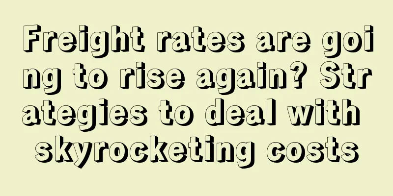 Freight rates are going to rise again? Strategies to deal with skyrocketing costs