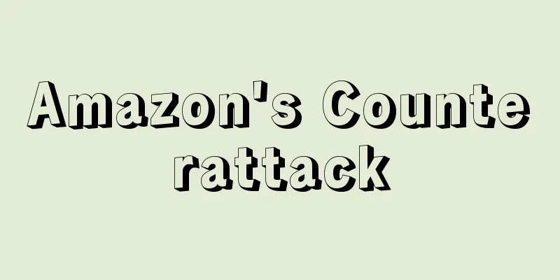 Amazon's Counterattack