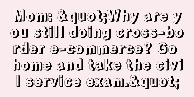 Mom: "Why are you still doing cross-border e-commerce? Go home and take the civil service exam."