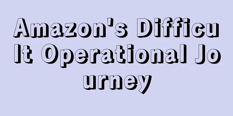 Amazon's Difficult Operational Journey
