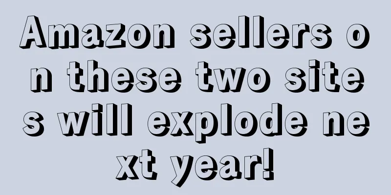 Amazon sellers on these two sites will explode next year!