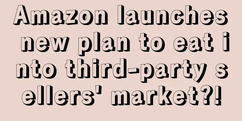 Amazon launches new plan to eat into third-party sellers' market?!