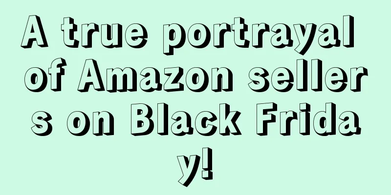 A true portrayal of Amazon sellers on Black Friday!
