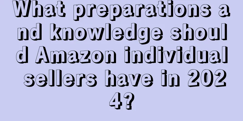 What preparations and knowledge should Amazon individual sellers have in 2024?