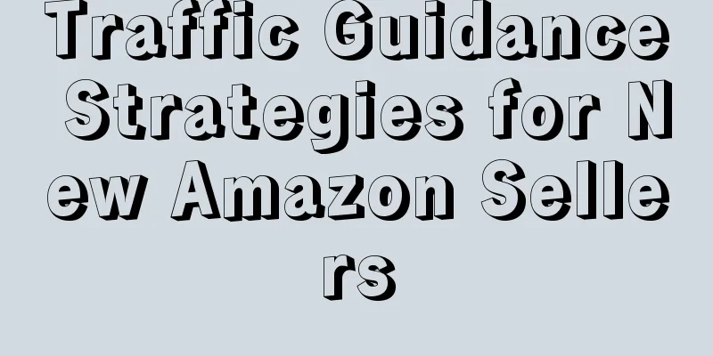 Traffic Guidance Strategies for New Amazon Sellers