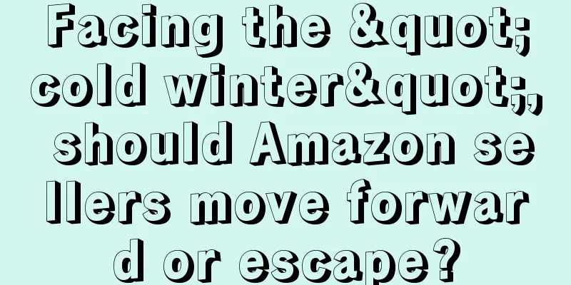 Facing the "cold winter", should Amazon sellers move forward or escape?
