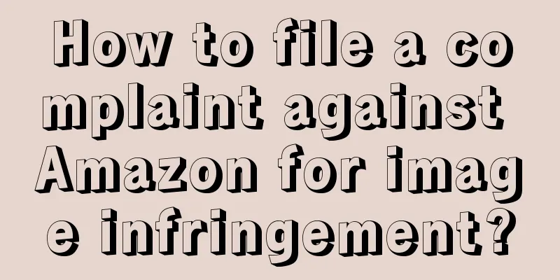 How to file a complaint against Amazon for image infringement?