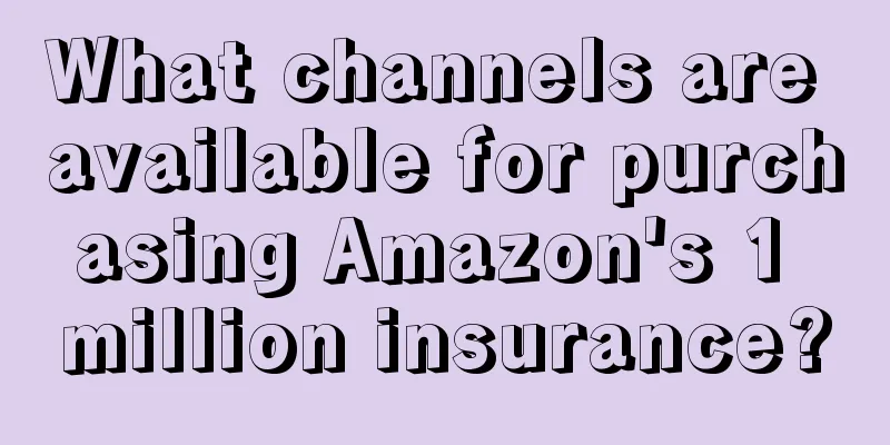 What channels are available for purchasing Amazon's 1 million insurance?
