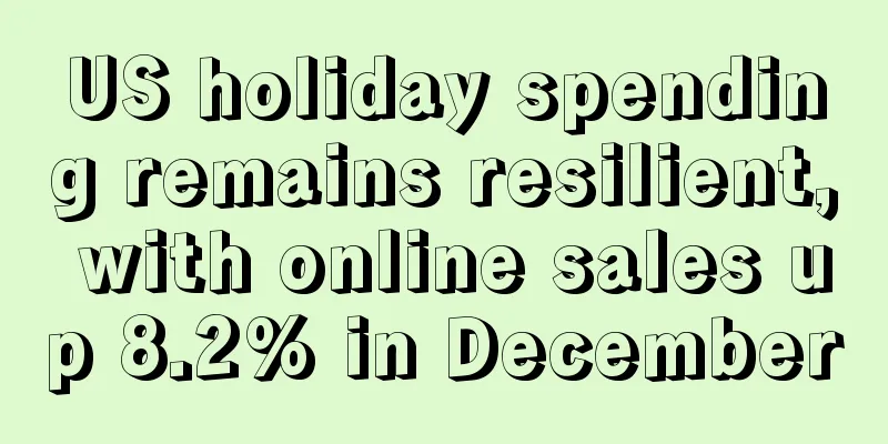 US holiday spending remains resilient, with online sales up 8.2% in December