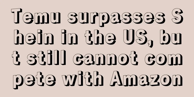 Temu surpasses Shein in the US, but still cannot compete with Amazon