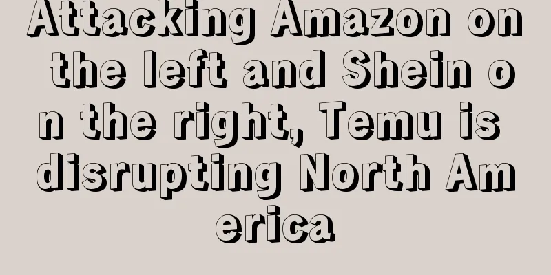 Attacking Amazon on the left and Shein on the right, Temu is disrupting North America