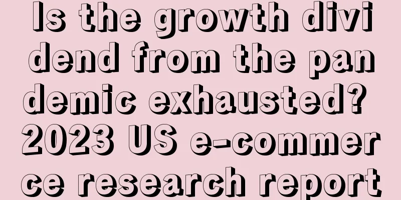 Is the growth dividend from the pandemic exhausted? 2023 US e-commerce research report