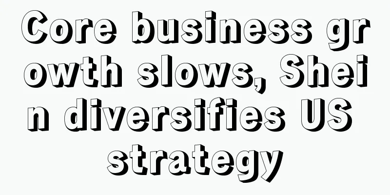 Core business growth slows, Shein diversifies US strategy