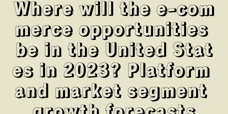 Where will the e-commerce opportunities be in the United States in 2023? Platform and market segment growth forecasts