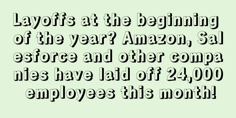 Layoffs at the beginning of the year? Amazon, Salesforce and other companies have laid off 24,000 employees this month!