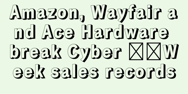 Amazon, Wayfair and Ace Hardware break Cyber ​​Week sales records