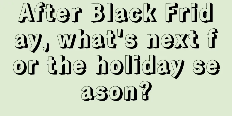 After Black Friday, what's next for the holiday season?