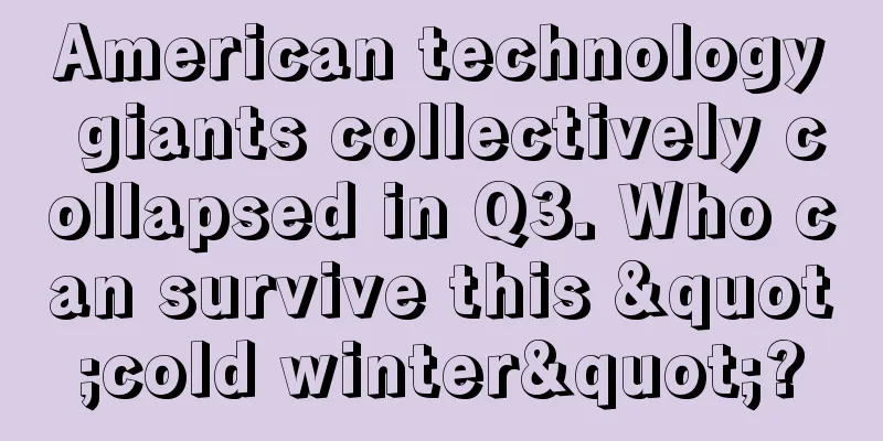 American technology giants collectively collapsed in Q3. Who can survive this "cold winter"?