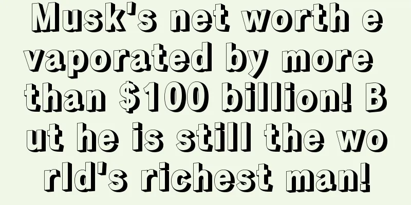 Musk's net worth evaporated by more than $100 billion! But he is still the world's richest man!