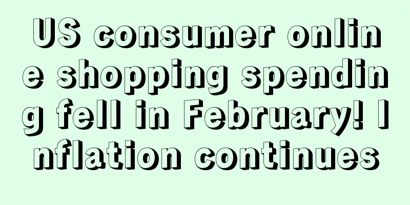 US consumer online shopping spending fell in February! Inflation continues